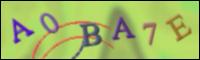 Loading Image